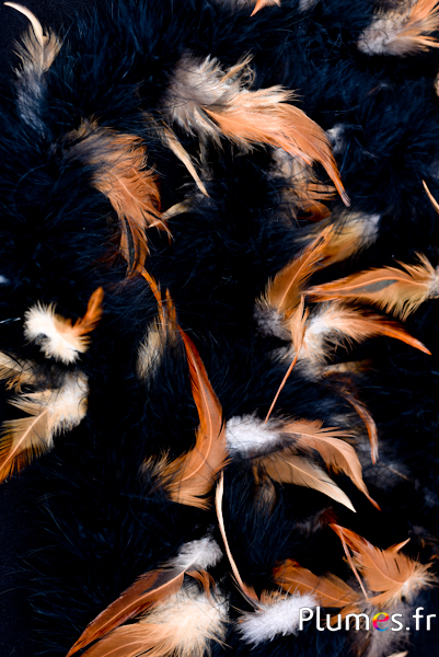 Boa avec des plumes de coq - Ø 3 cm - noir